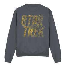 (XL, Charcoal) Star Trek Unisex Adult Schematic Logo Sweatshirt