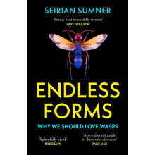 Endless Forms by Seirian Sumner Paperback Book