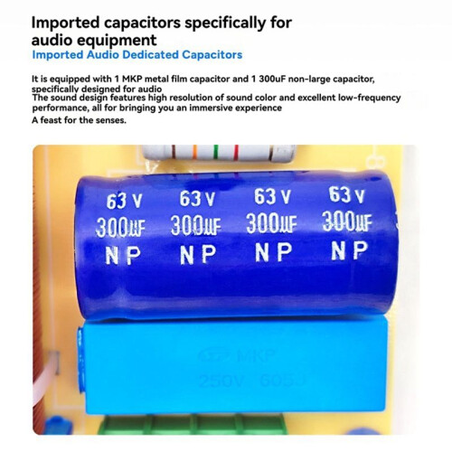 1-Way Speaker Audio Frequency Divider 65-1000Hz 120W HiFi Crossover Filter Module Home Theater Audio Modification 1