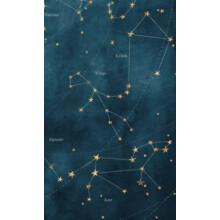 Constellated Journal by Bushel amp Peck Books Other Book