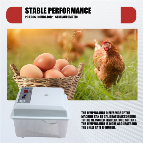 20Pcs Eggs Incubator Set Semi Automatic Household Brooder Farm Chicken  Duck Bird Egg Incubator EU Plug