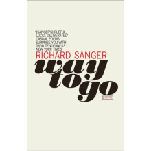 Come Again by Richard Sanger Paperback Book