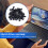 50 Pcs M3x4mm Screws Replacement Black for Laptop Hard Drive 6