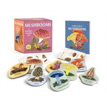 Mushrooms A Wooden Magnet Set by Meg Madden Other Book