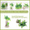 Fish Tank Emulational  Coconut Tree Water Plants Decor w Ceramic Base 4
