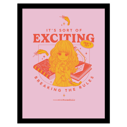 Harry Potter Harry Potter Witty Witchcraft Breaking The Rules Print