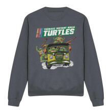 (XXL, Charcoal) Teenage Mutant Ninja Turtles Unisex Adult Van Sweatshirt
