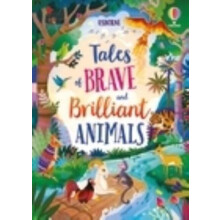 Tales of Brave and Brilliant Animals by Lan Cook Hardcover Book