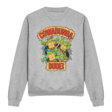 (M, Sport Heather) Teenage Mutant Ninja Turtles Unisex Adult Cowabunga Dude Sweatshirt