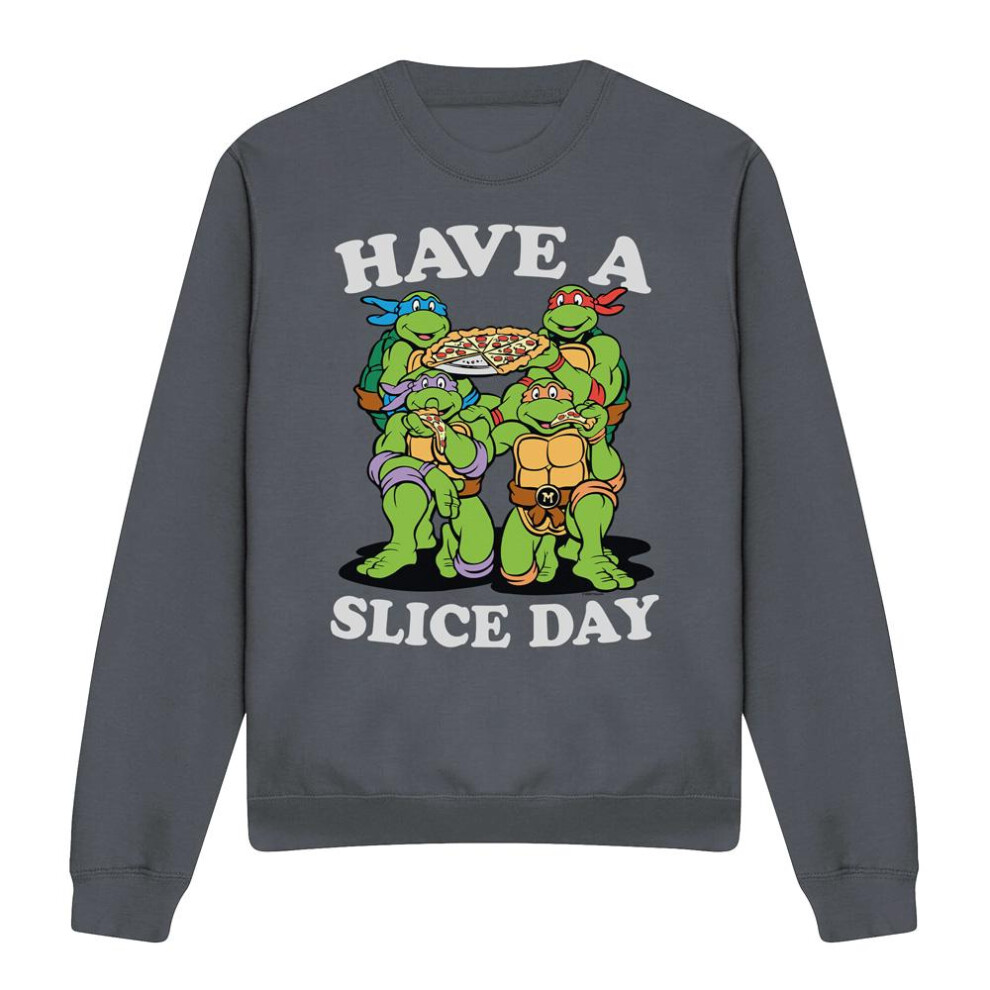 Teenage Mutant Ninja Turtles (Xl, Charcoal) Unisex Adult Have A Slice Day Sweatshirt