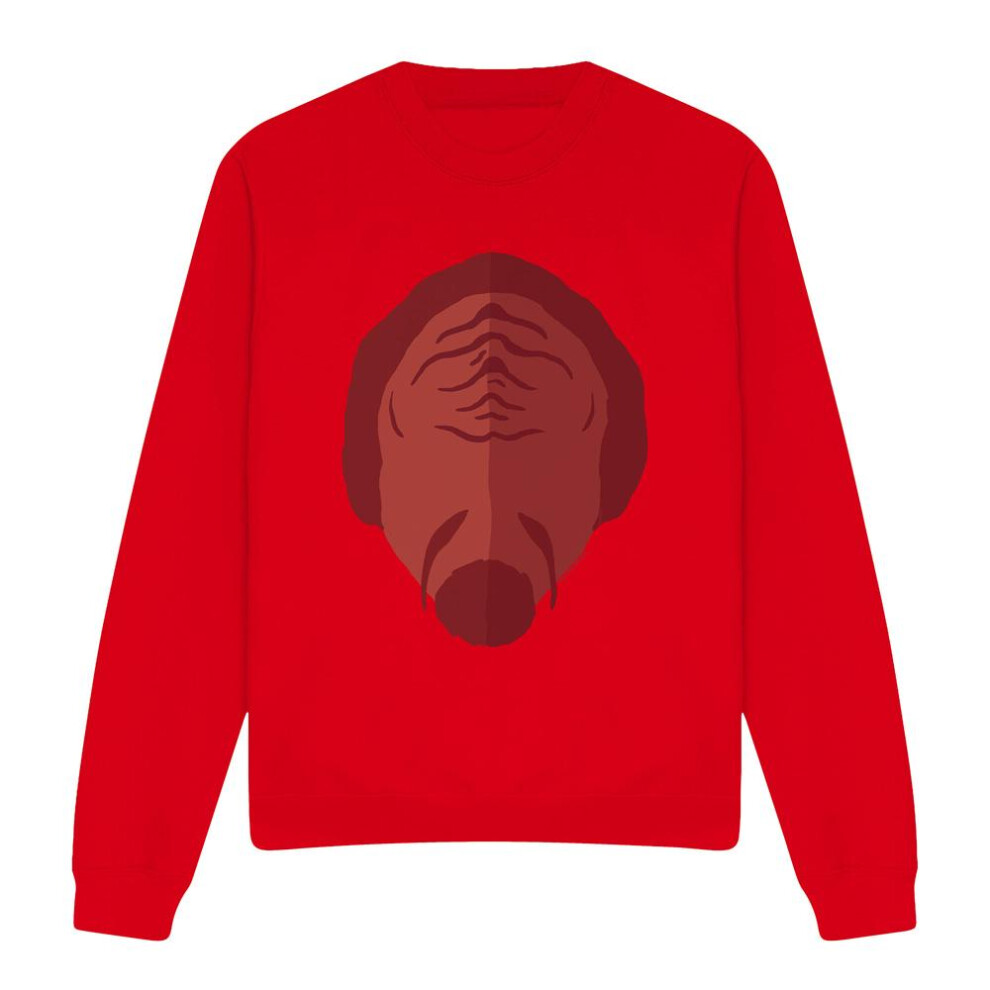 Star Trek (M, ) Unisex Adult The Next Gen Klingon Sweatshirt Red