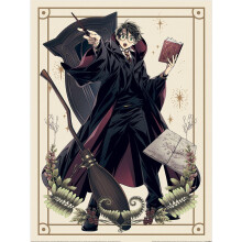 Harry Potter Wizard Dynasty Harry Spells Paper Print