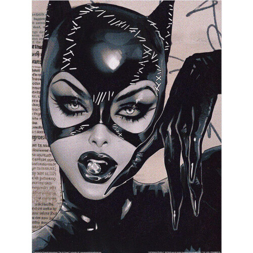 DC Comics DC Comics Catwoman Pearls Print