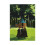 Harry Potter Harry Potter The Lonely Hut Print 1