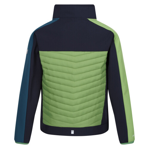 Regatta Regatta Childrens/Kids Brynden Padded Full Zip Soft Shell Jacket 1
