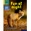 Read Write Inc. Phonics Fun at night Yellow Set 5 NF Book Bag Book 8 b 1