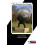The Passion for Change Paperback Book 1