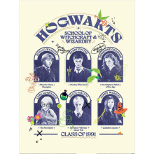 Harry Potter Class Of 1991 Bulletin Board Print