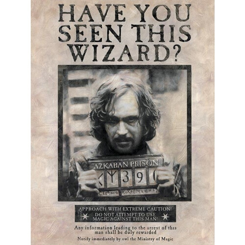 Harry Potter Harry Potter Wanted Sirius Black Canvas Print
