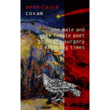 The Male and the Female Poet Go to the Surgery in Exciting Times by An