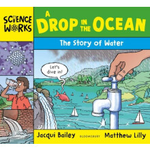 A Drop in the Ocean by Jacqui Bailey Paperback Book