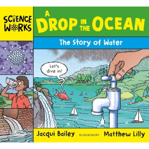 A Drop in the Ocean by Jacqui Bailey Paperback Book