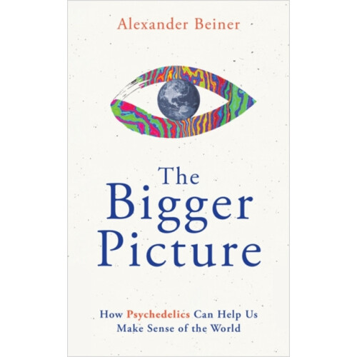 The Bigger Picture by Alexander Beiner Paperback Book