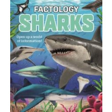 Factology Sharks by Button Books Hardcover Book