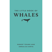 The Little Book of Whales by Annalisa Berta Hardcover Book