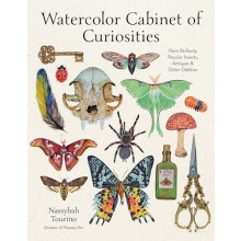 Watercolor Cabinet of Curiosities by Nassybah Tourino Paperback Book