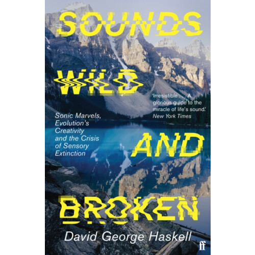 Sounds Wild and Broken by David George Haskell Paperback Book