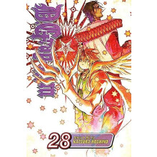 D.Grayman Vol. 28 by Katsura Hoshino Paperback Book