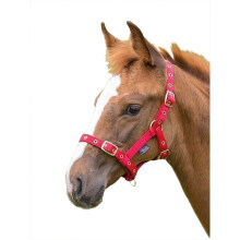 (Foal/Mini, Red) Shires Foal Headcollar