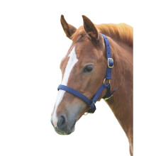 (Foal/Mini, Navy) Shires Foal Headcollar