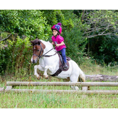 (One Size, Havana) Aviemore Leather Pony Saddle Pad 2
