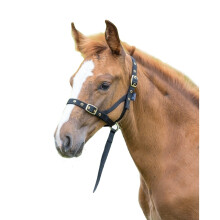 (Foal/Mini, Black) Shires Foal Slip Headpiece