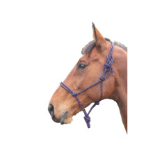 (One Size, Purple/Black) Shires Rope Horse Headcollar
