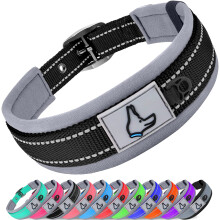 Collare per Cani Joytale per Cani Grandi, Regolabile e Imbottito in Neoprene