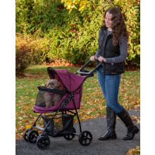 Pet Gear No-Zip Happy Trails Lite Haustierwagen für Katzen/Hunde, Reißverschlussfreier Zugang, Einfach Faltbar