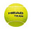 HEAD Head Team Tennis Balls (Pack of 12) 1