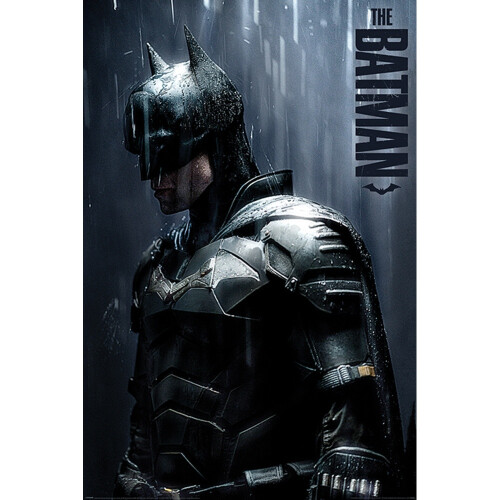 Batman Batman Downpour Poster