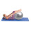 Fitness Mad Fitness Mad Swiss Ball 2