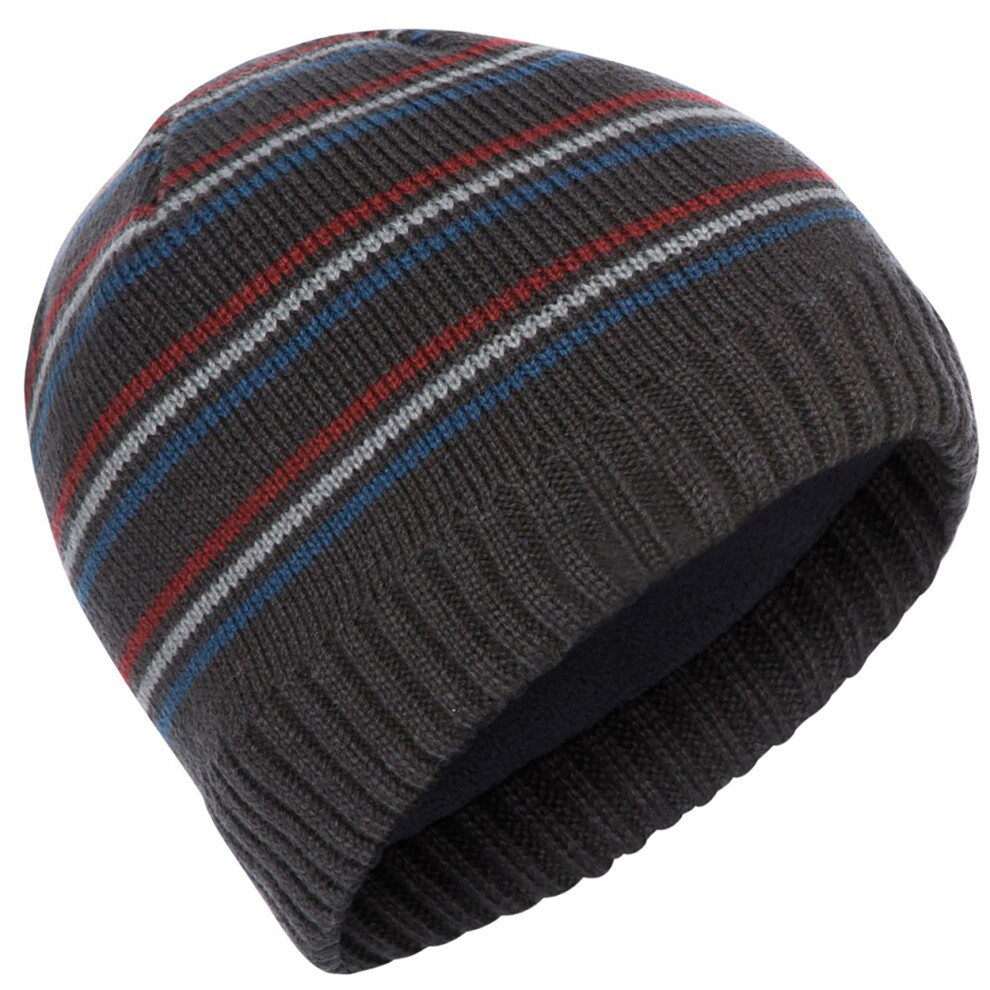 Trespass (One Size, Dark Grey) Mens Ray Beanie Hat