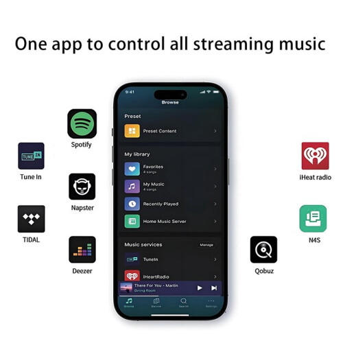 Decoder Audio WiFi, Lettore di Streaming Multimediale In Rete, Ricevitore  DLNA In Fibra Ottica 1