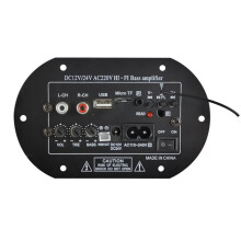 HiFi Bass Amplifier Audio Amplifier Board Subwoofer 110V 220V 12V 24V Digital Amp Module EU PLUG