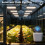 Tuya Zigbee Illuminance Sensor IP67 Waterproof Light Sensor Brightness Detection Real  App Control Sensor 3
