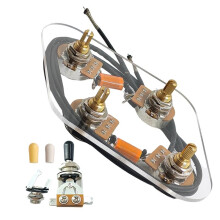 New Premium Prewired 2T2V Wiring Harness Kit with Separate for LP Style Electric Guitar or Similar Guitar Parts