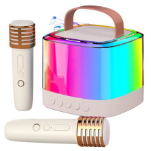 Machine de Karaoké avec 2 Microphones Sans Fil, Enceinte Portable pour Animer Vos Soirées à la Maison