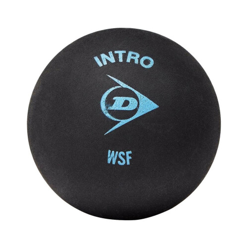 Dunlop Dunlop Intro Squash Balls (Pack of 12)