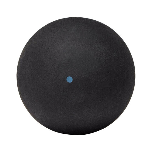 Dunlop Dunlop Intro Squash Balls (Pack of 12) 1